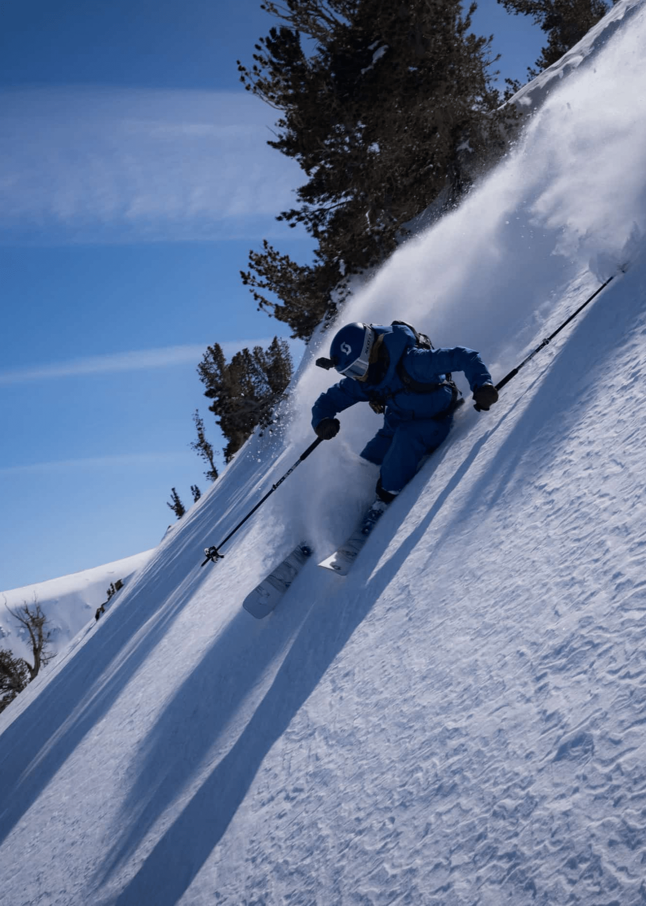 Molly_shredding_yurt_785c89f4-55b7-4e15-8563-5b4981e90876.png