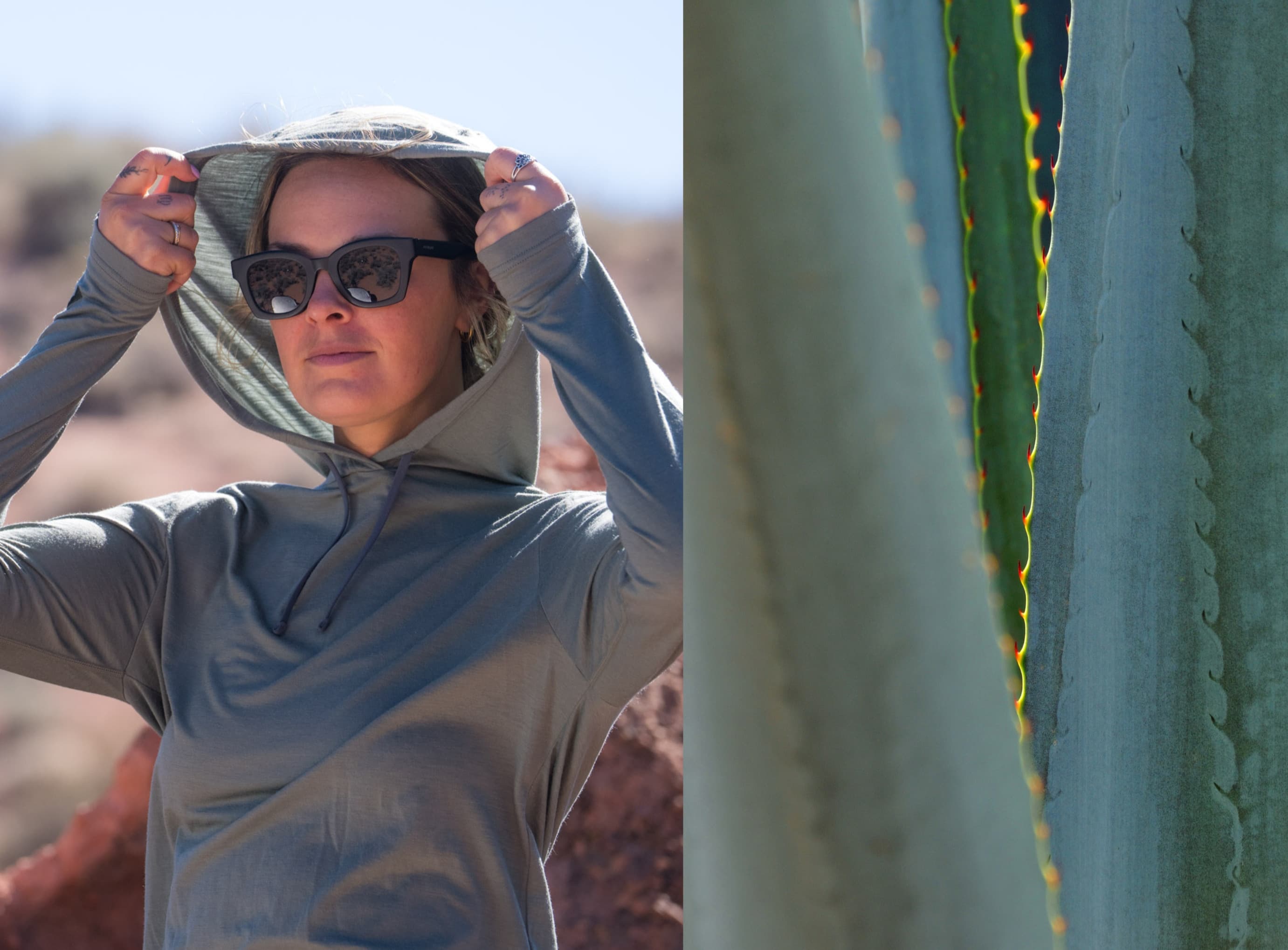 Inspired by Nature: Agave Green