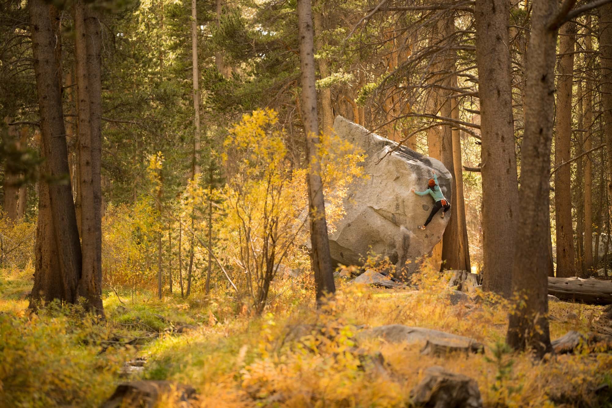 a boulderer climbing in a yellow fall forest