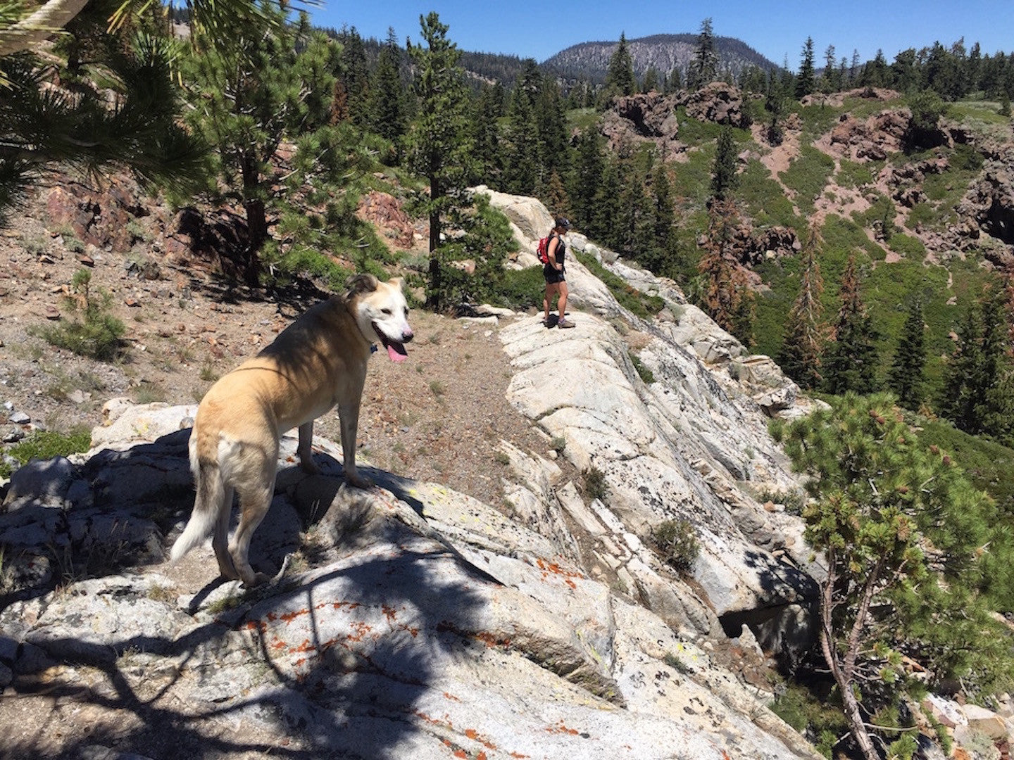 Drawn to the Wilderness? Use Common Sense