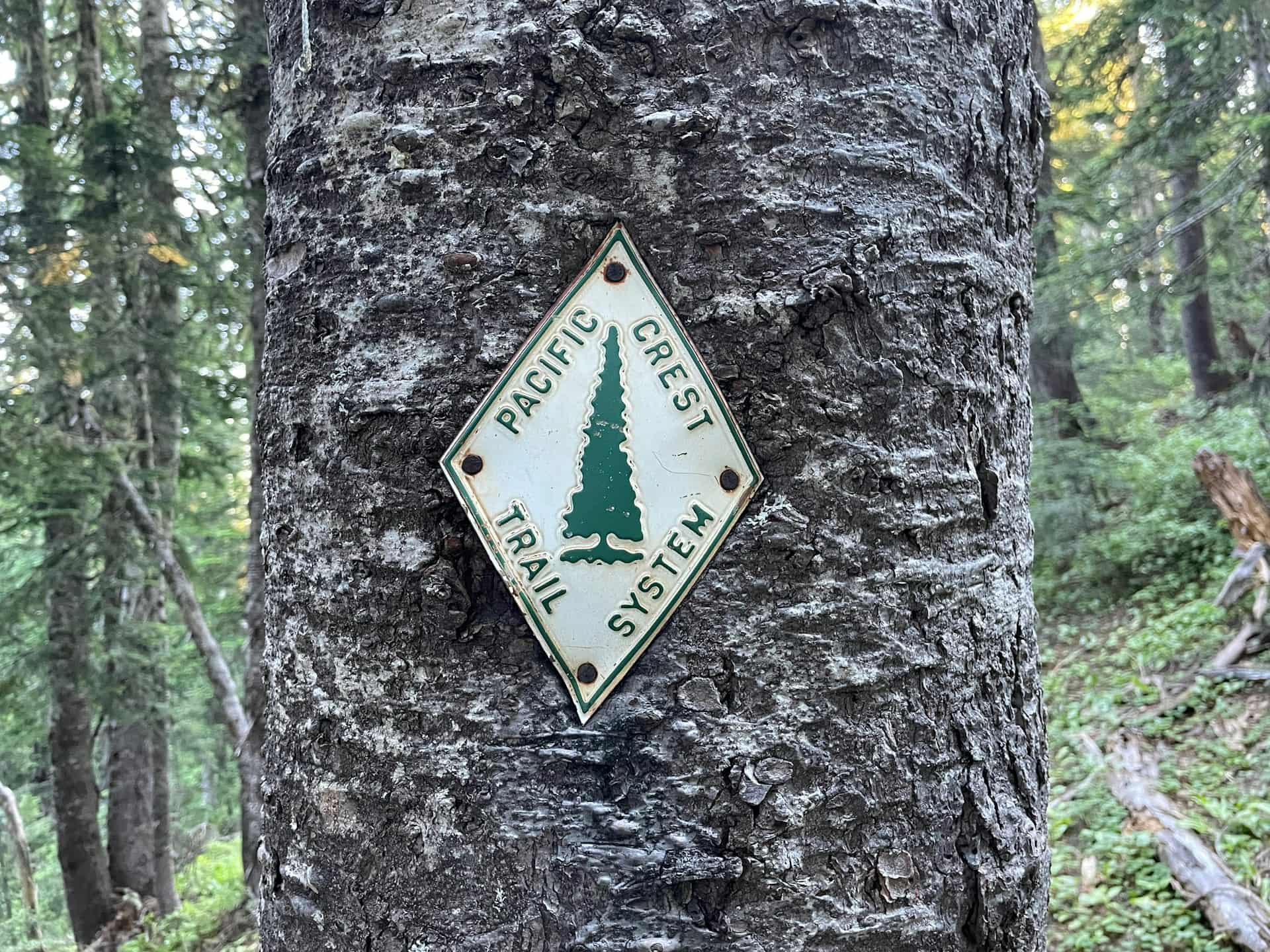 Seeking 2026 Big Agnes x Ridge Merino Thru-Hike Ambassadors