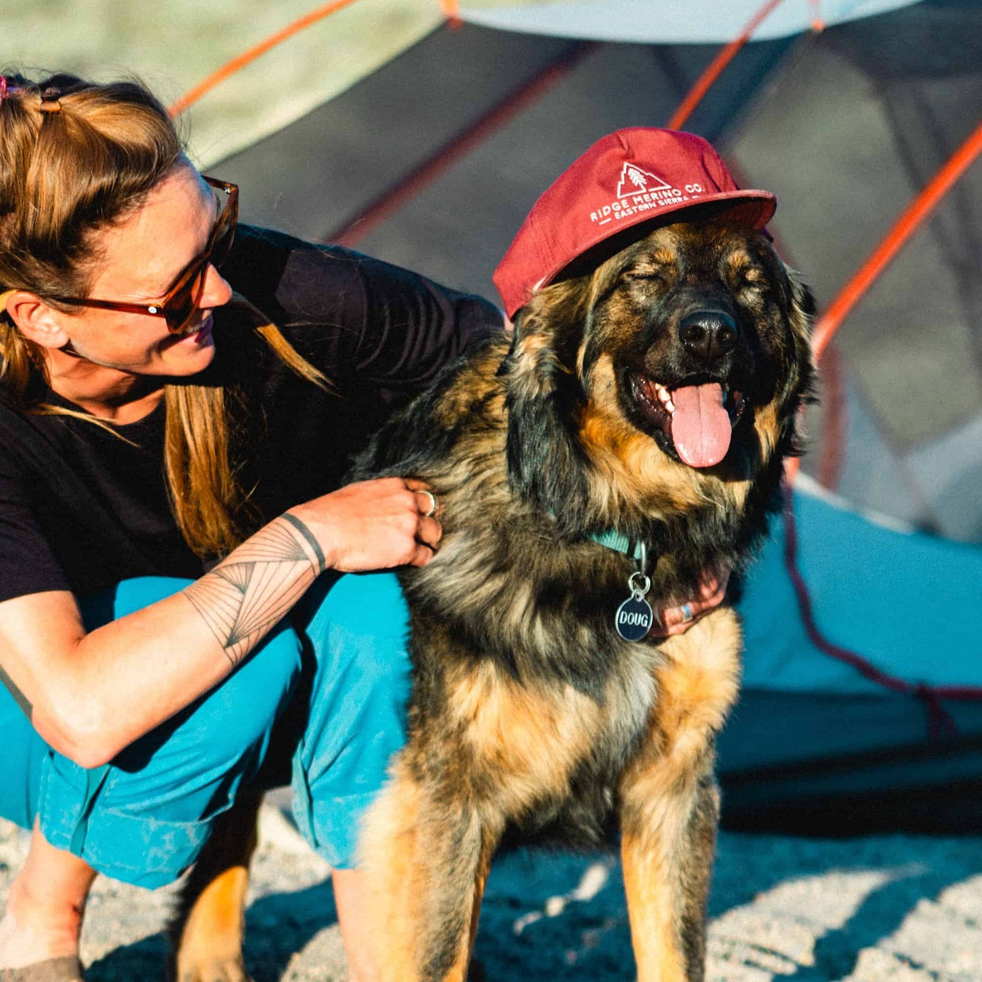Doug the dog wearing an Eastside Ripstop Snapback Hat