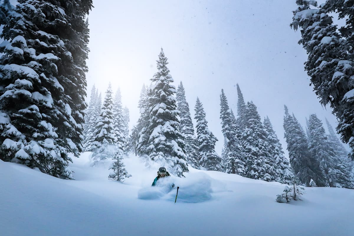 Skiing &amp; Snowboarding