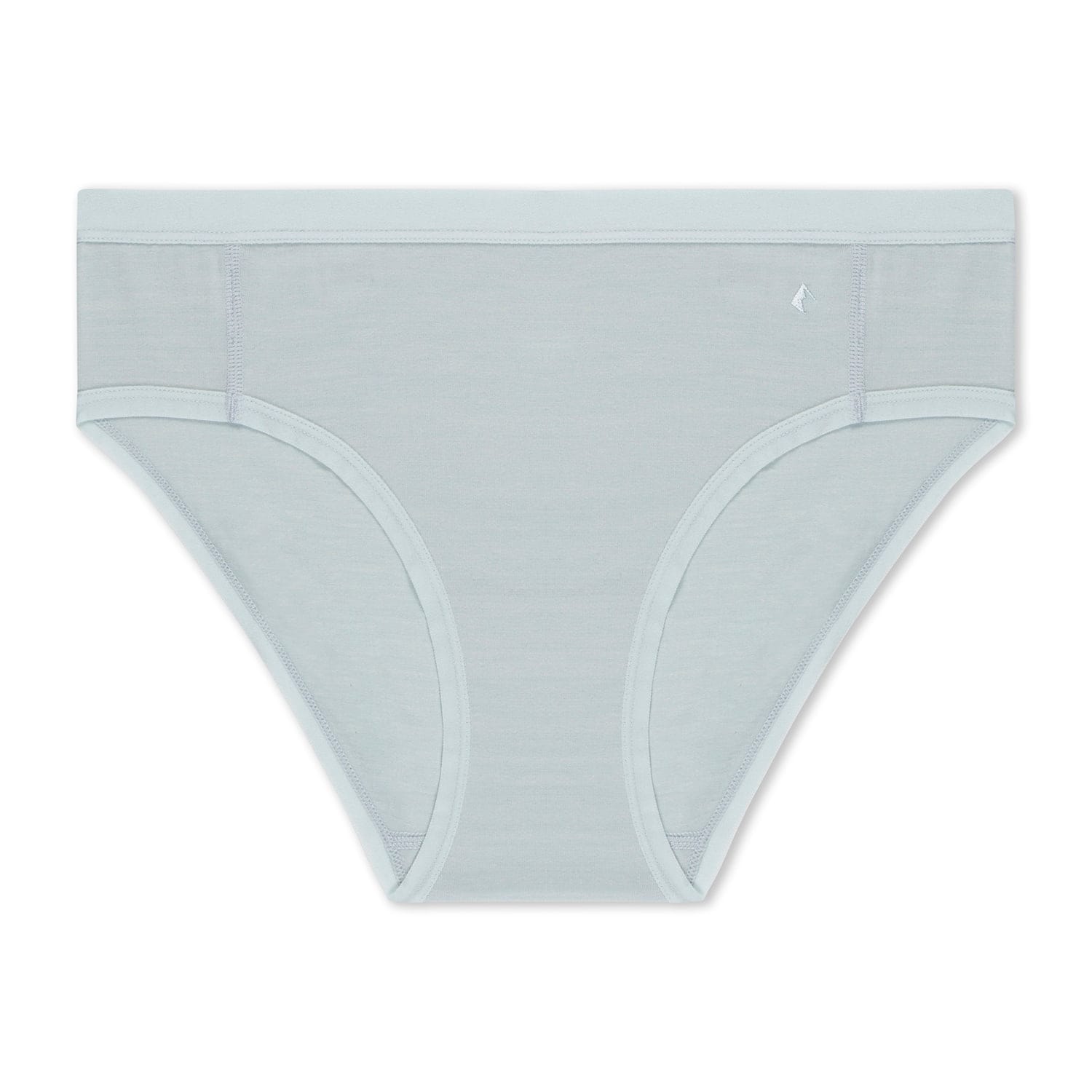 Women's Hipster Briefs in Ice Flow
