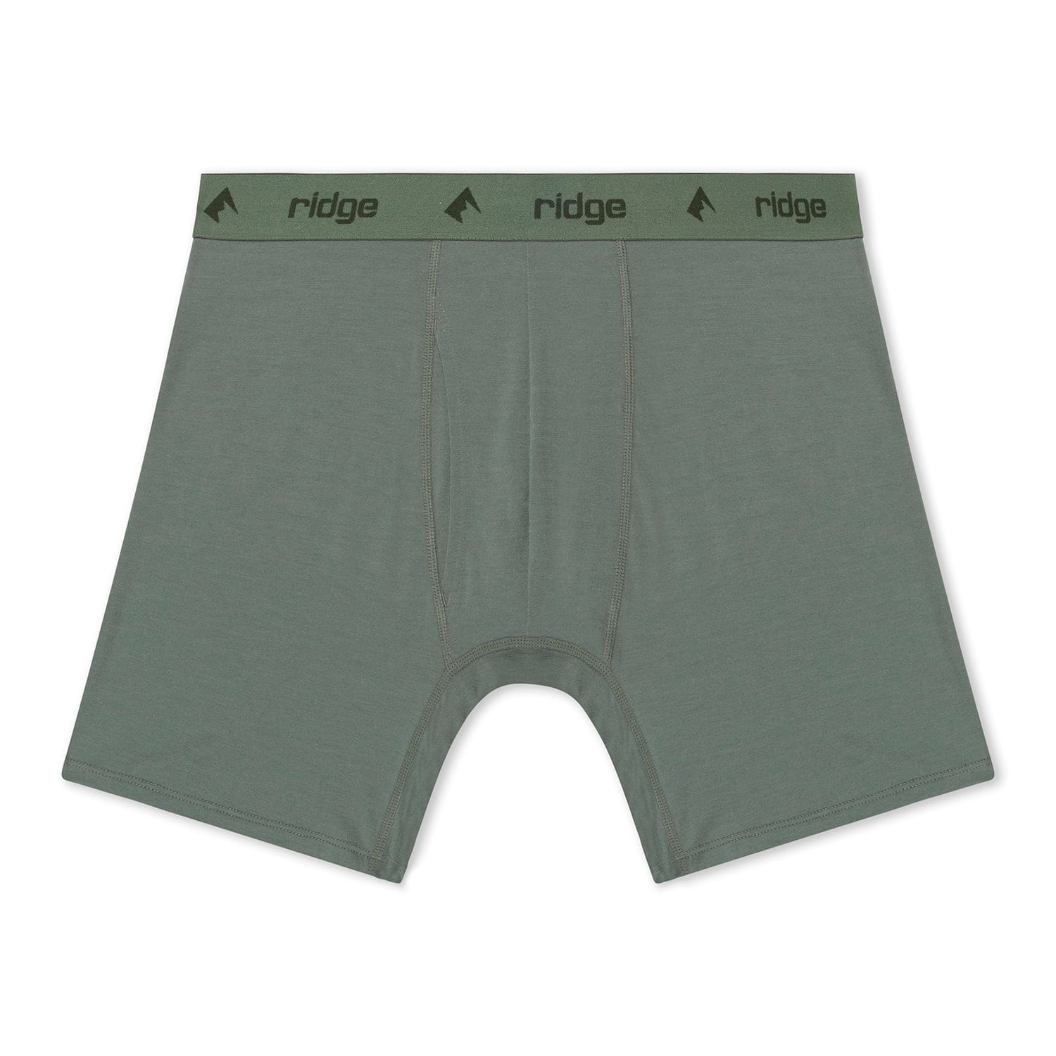Men's Merino Boxer Briefs in Agave Green