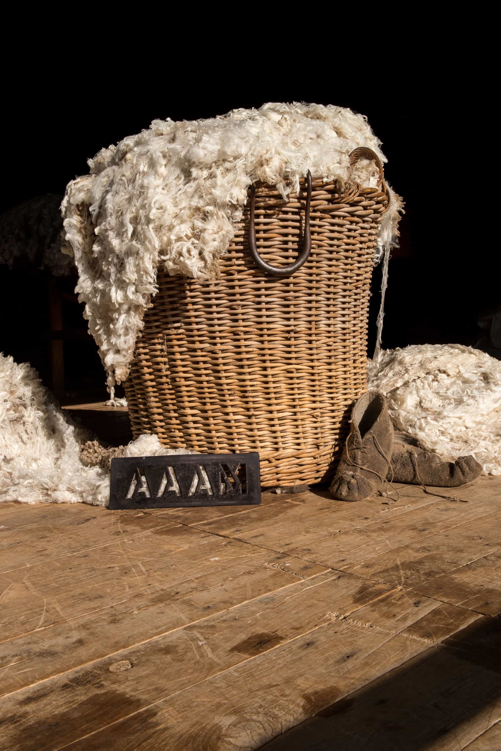 Merino_wool_basket_sheep.jpg