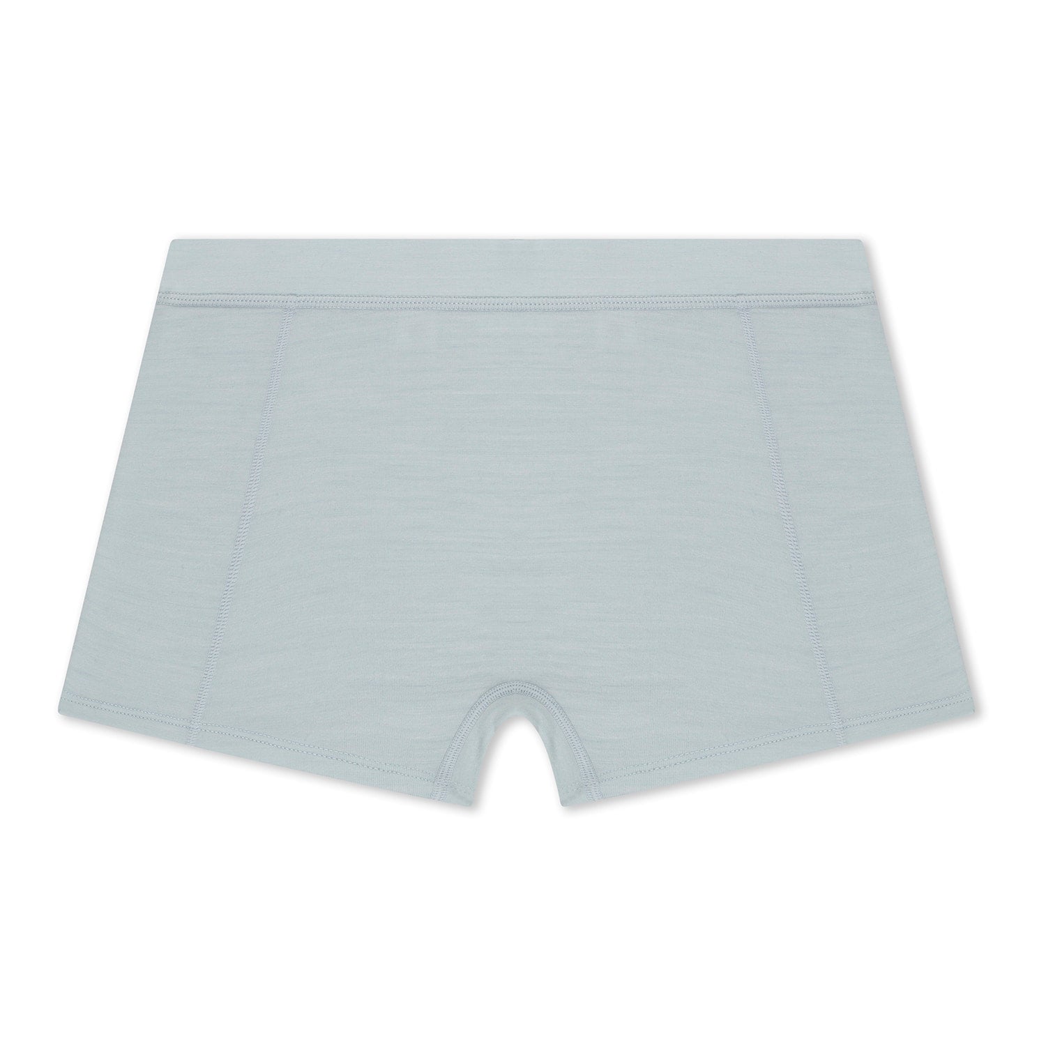 Ridge Merino Wool Boy Short Underwear in Ice Flow