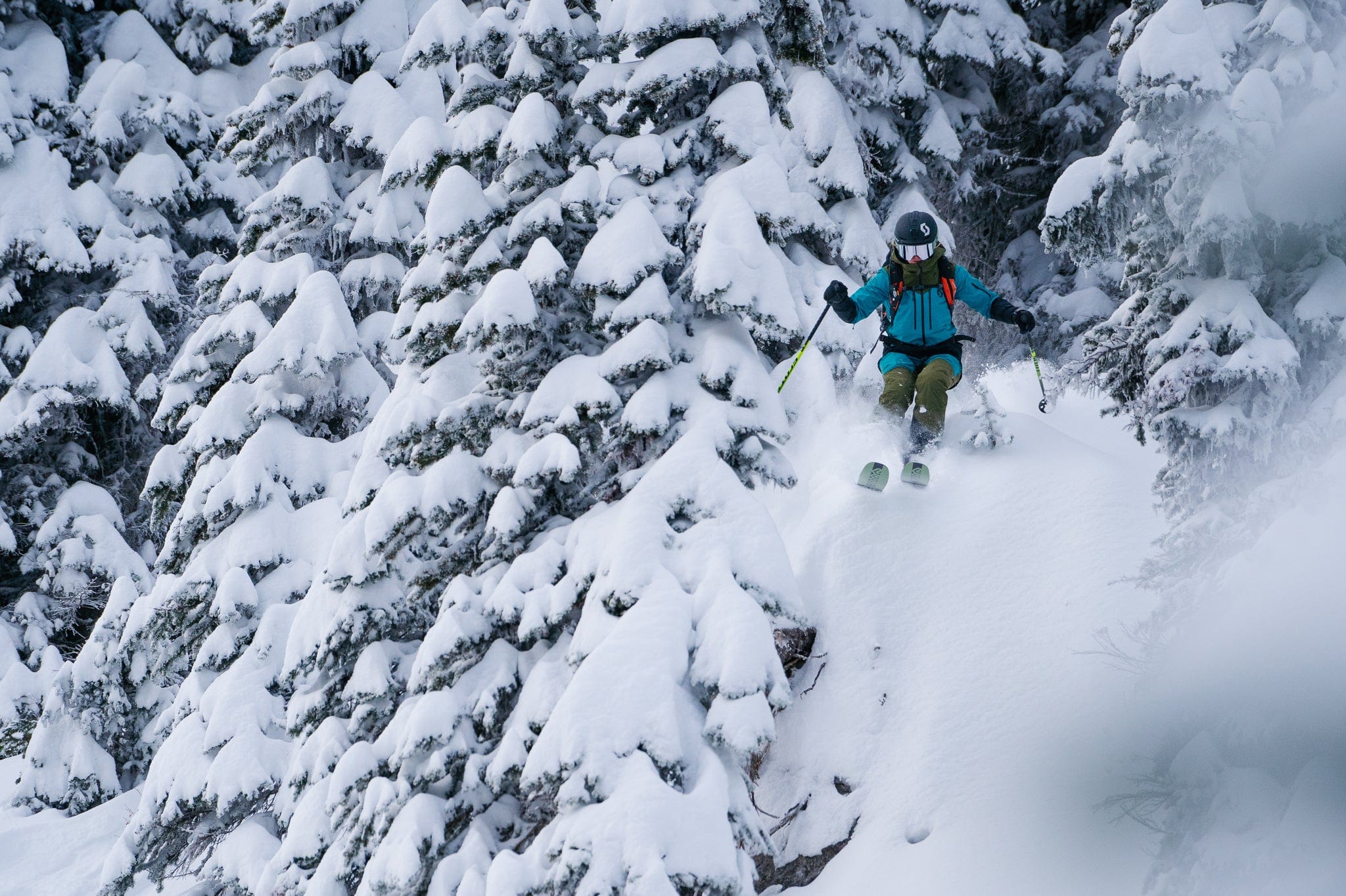 a skier cruises through a forest of snow-laden trees