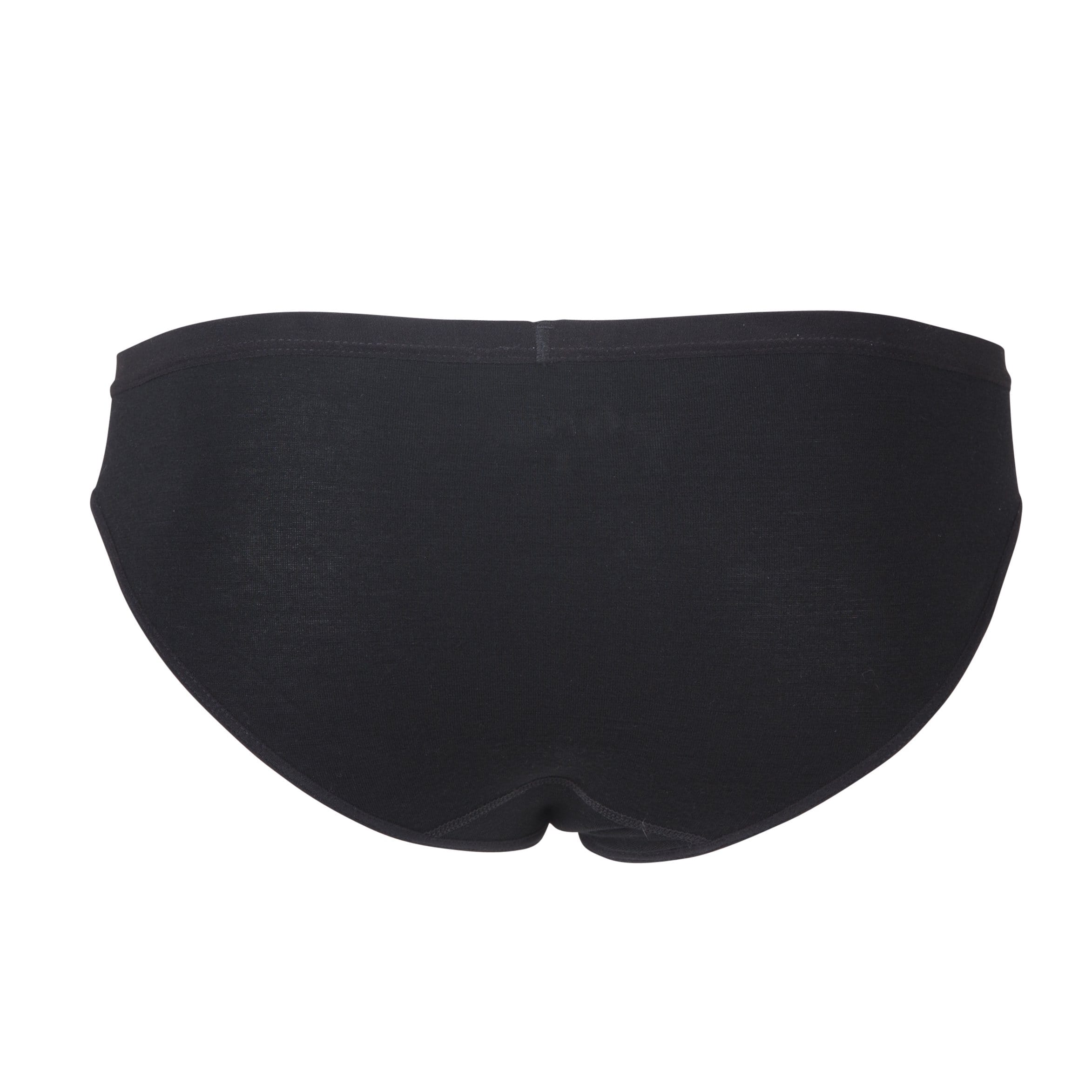 Women's Ridge Bikini Brief - Merino Wool Underwear