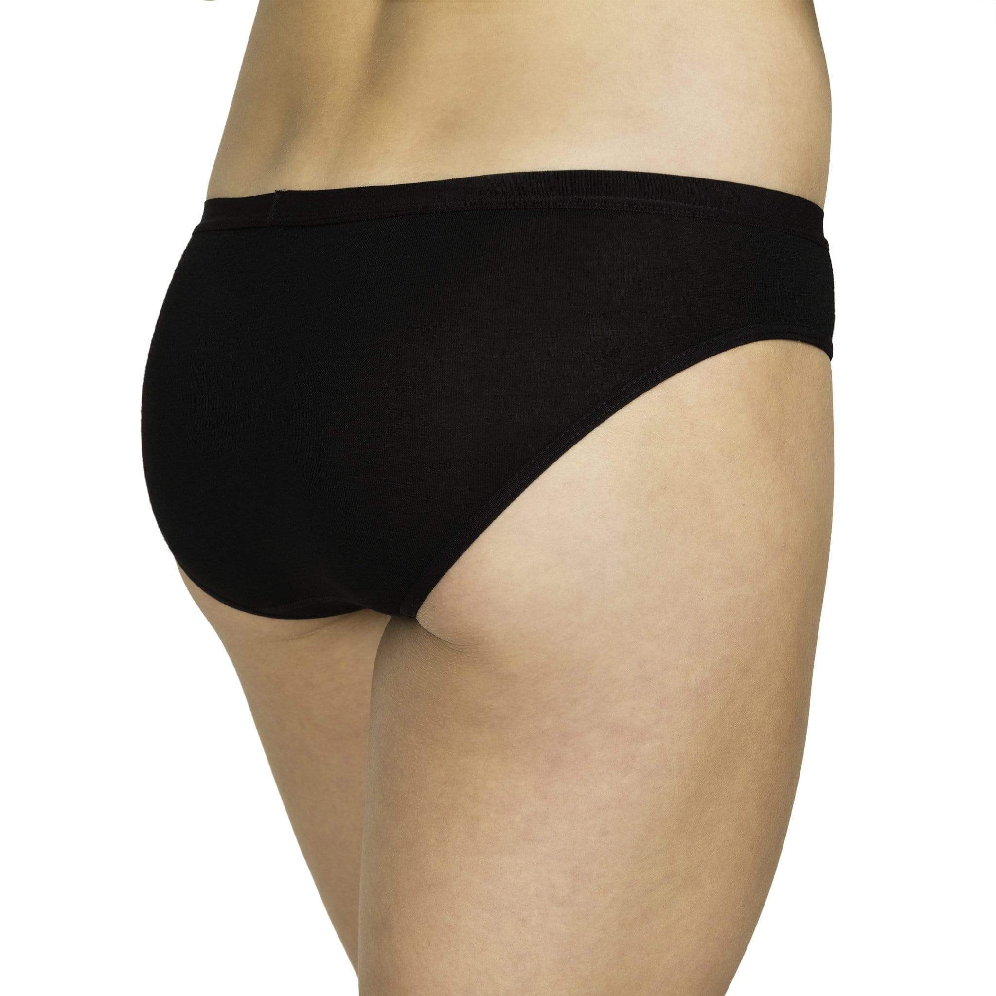 Women's Ridge Bikini Brief - Merino Wool Underwear